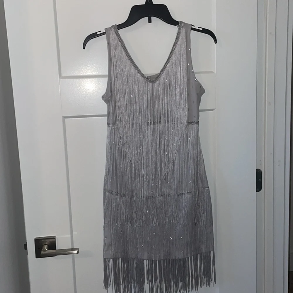 Silver Fringe Dress - Picture 2 of 2